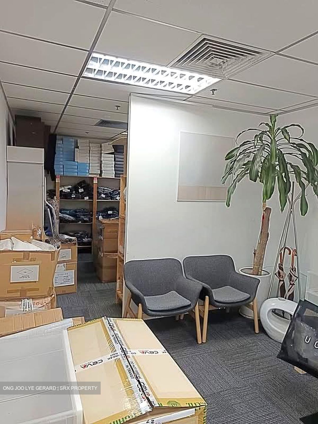 Og Albert Complex (D7), Office #568713731